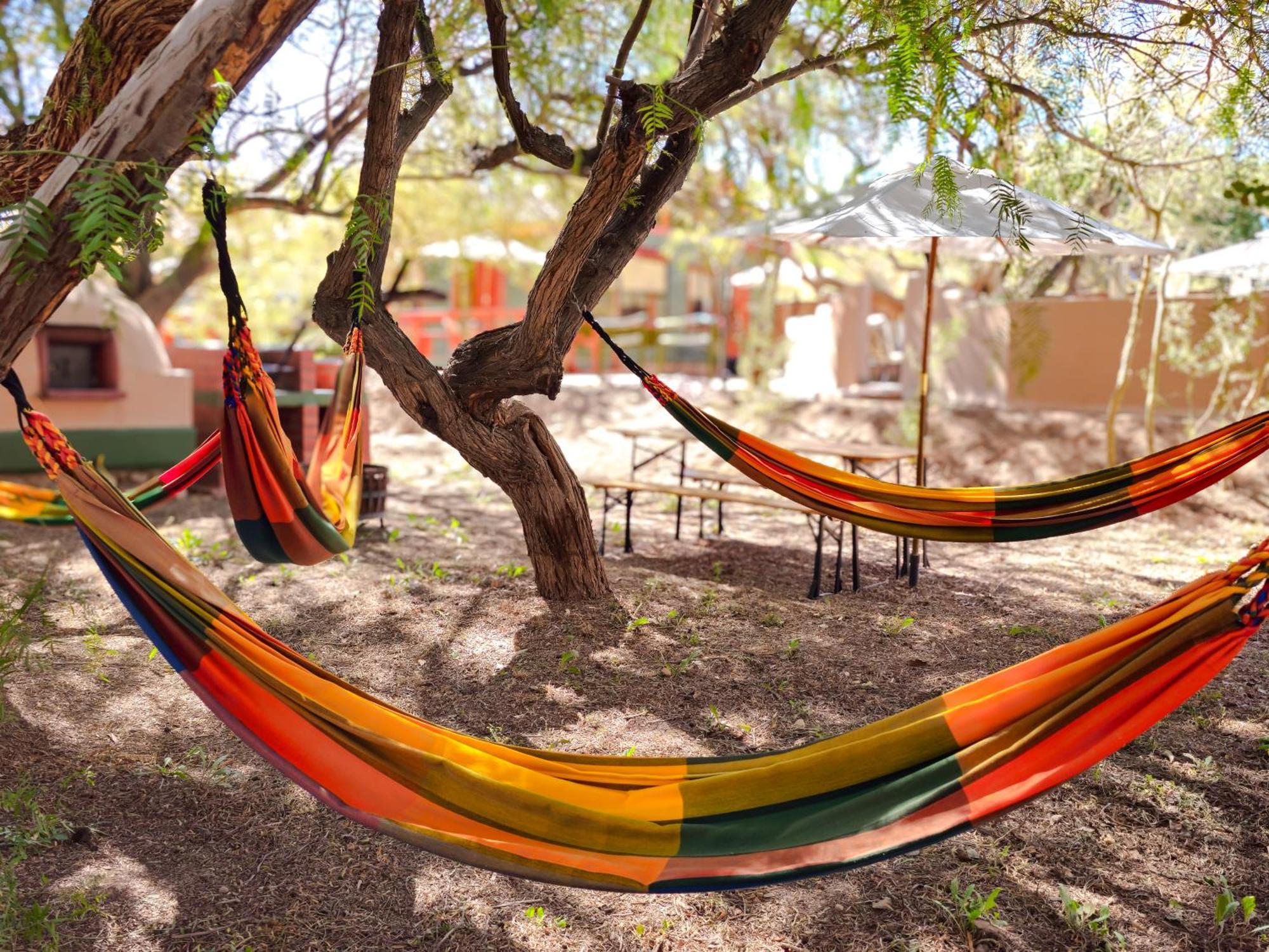 Lodge Ancar Atacama ซานเปโดร เด อาตากามา ภายนอก รูปภาพ